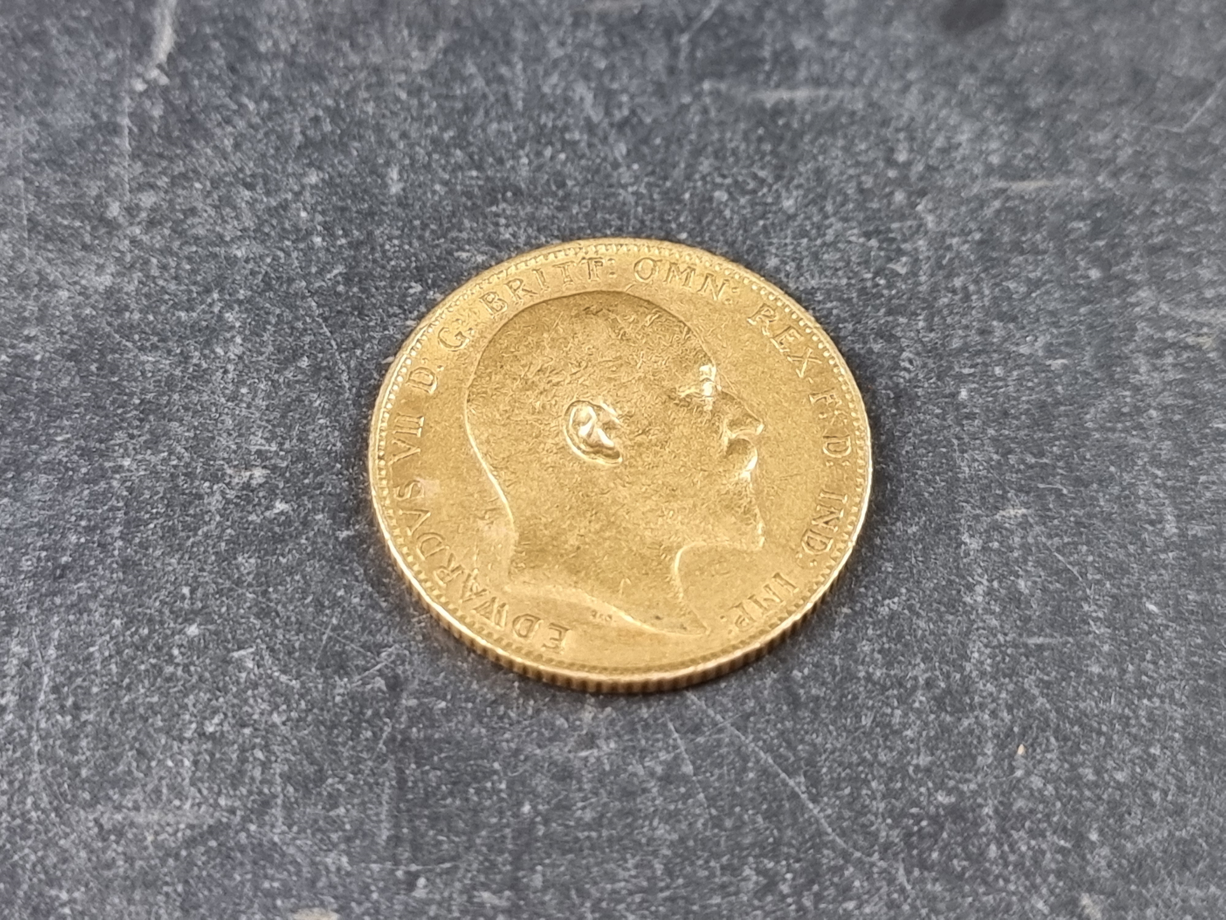 Coins: an Edward VII 1904 gold sovereign. All proceeds to The Royal Botanical Gardens, Kew. - Image 2 of 2