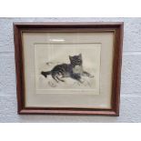 Kurt Meyer-Eberhardt, reclining kitten, signed in pencil, etching, pl.24 x 33cm.