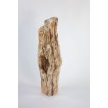 A fossilized wood freeform