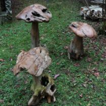 A Set of Three Root Mushrooms