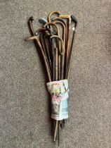 A group of assorted vintage wooden walking sticks, golf clubs etc.