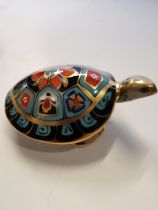 Royal Crown Derby Paperweight - Terrapin