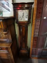 An oak small grand daughter clock with brass and s