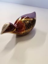 Royal Crown Derby Paperweight - Coot