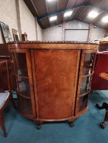 Antique Walnut bow-fronted display cabinet