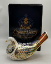 Royal Crown Derby Paperweight - Millennium Dove Ltd Ed