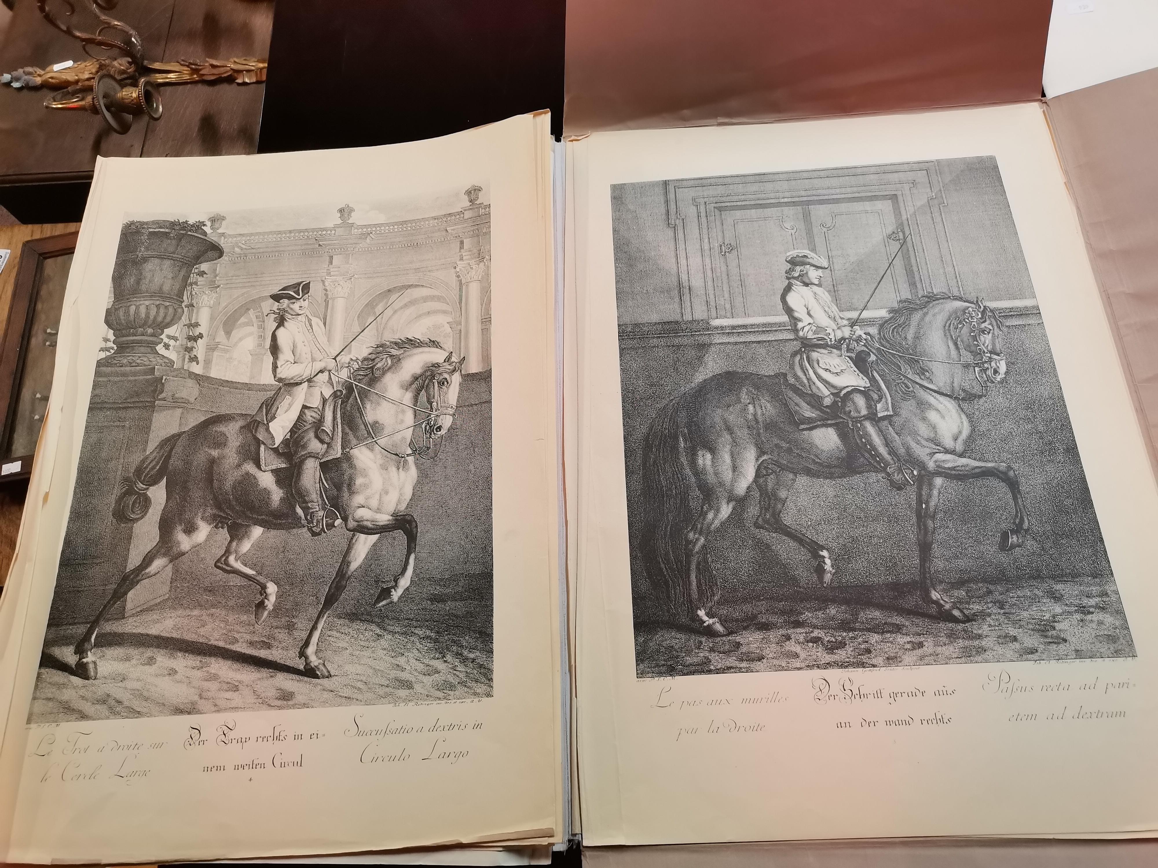 After Johann Elias Ridinger (German, 1698-1767), 'The New Riding School' engravings - Image 4 of 5