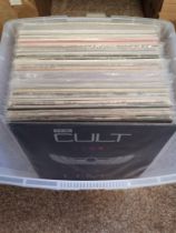 A collection of mixed record albums