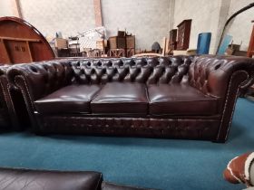 Chesterfield button back brown leather 3 seater sofa and armchair