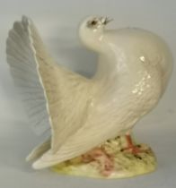 A Beswick Fantail Pigeon