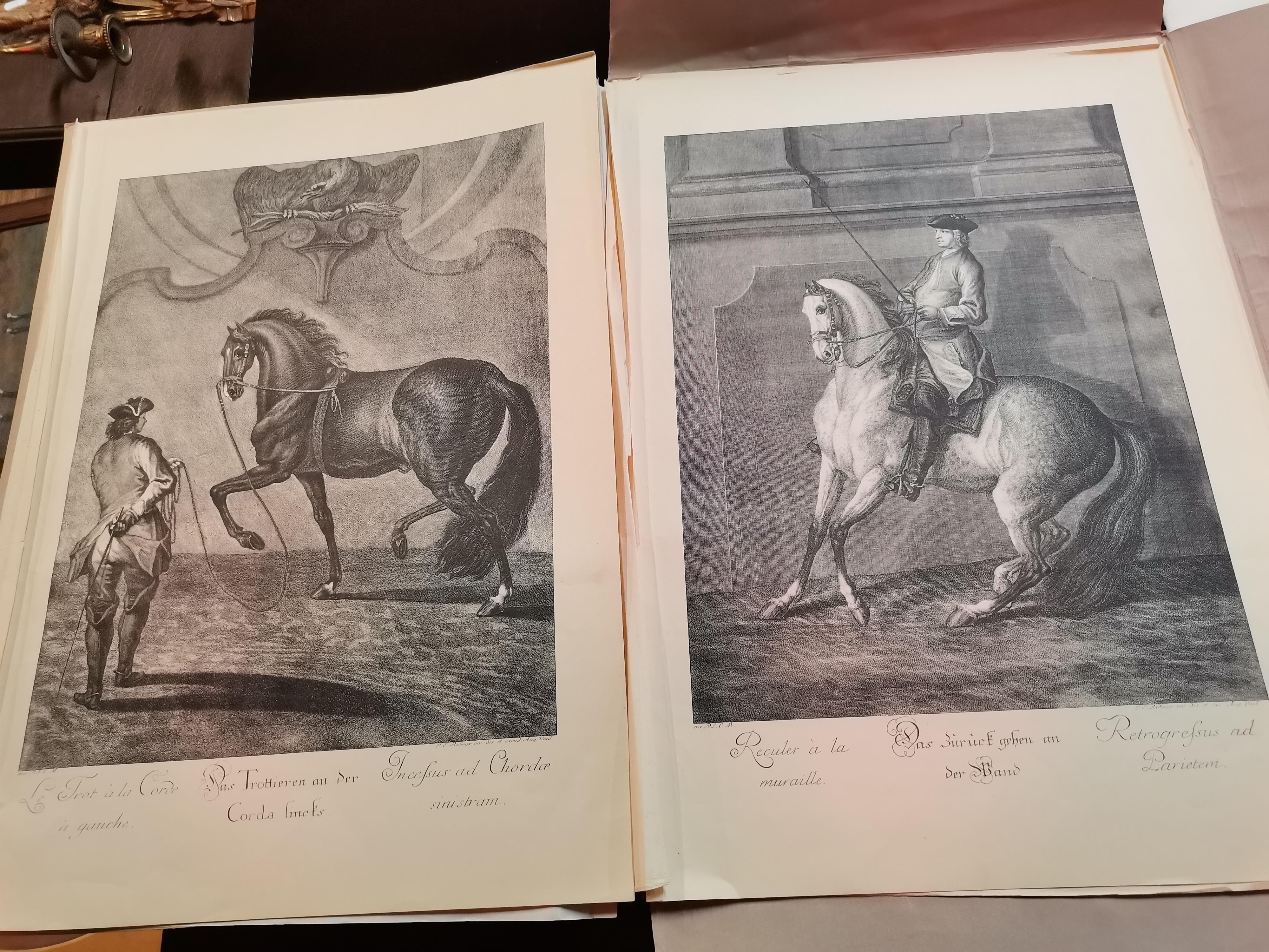 After Johann Elias Ridinger (German, 1698-1767), 'The New Riding School' engravings - Image 3 of 5