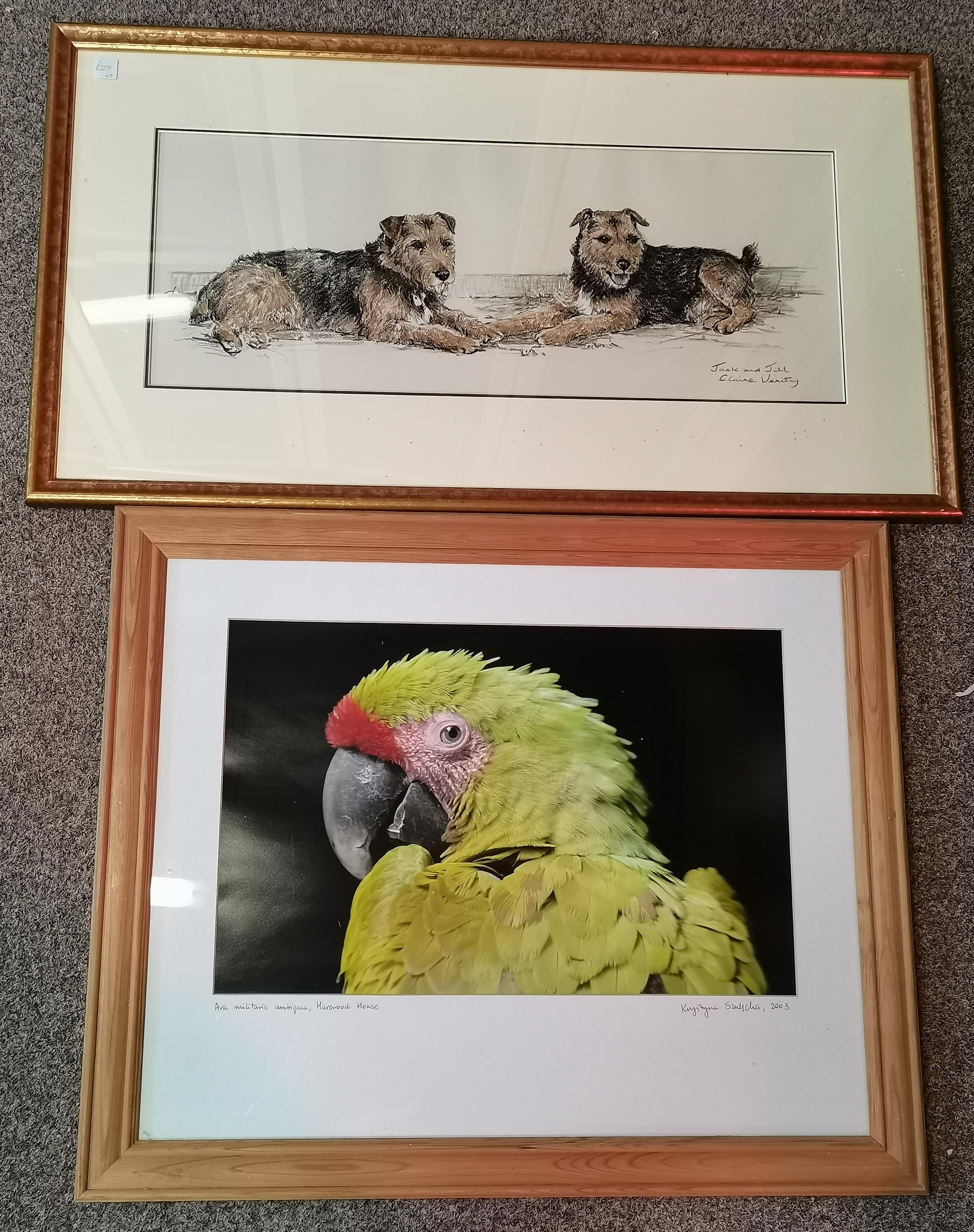 An original pastel on paper, together with a framed photograph