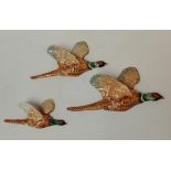 A set of Beswick flying Pheasants 661