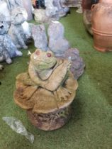 Stone duck garden ornament plus stone frog water feature