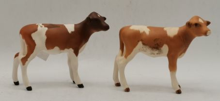 2 x Beswick Ayrshire calves