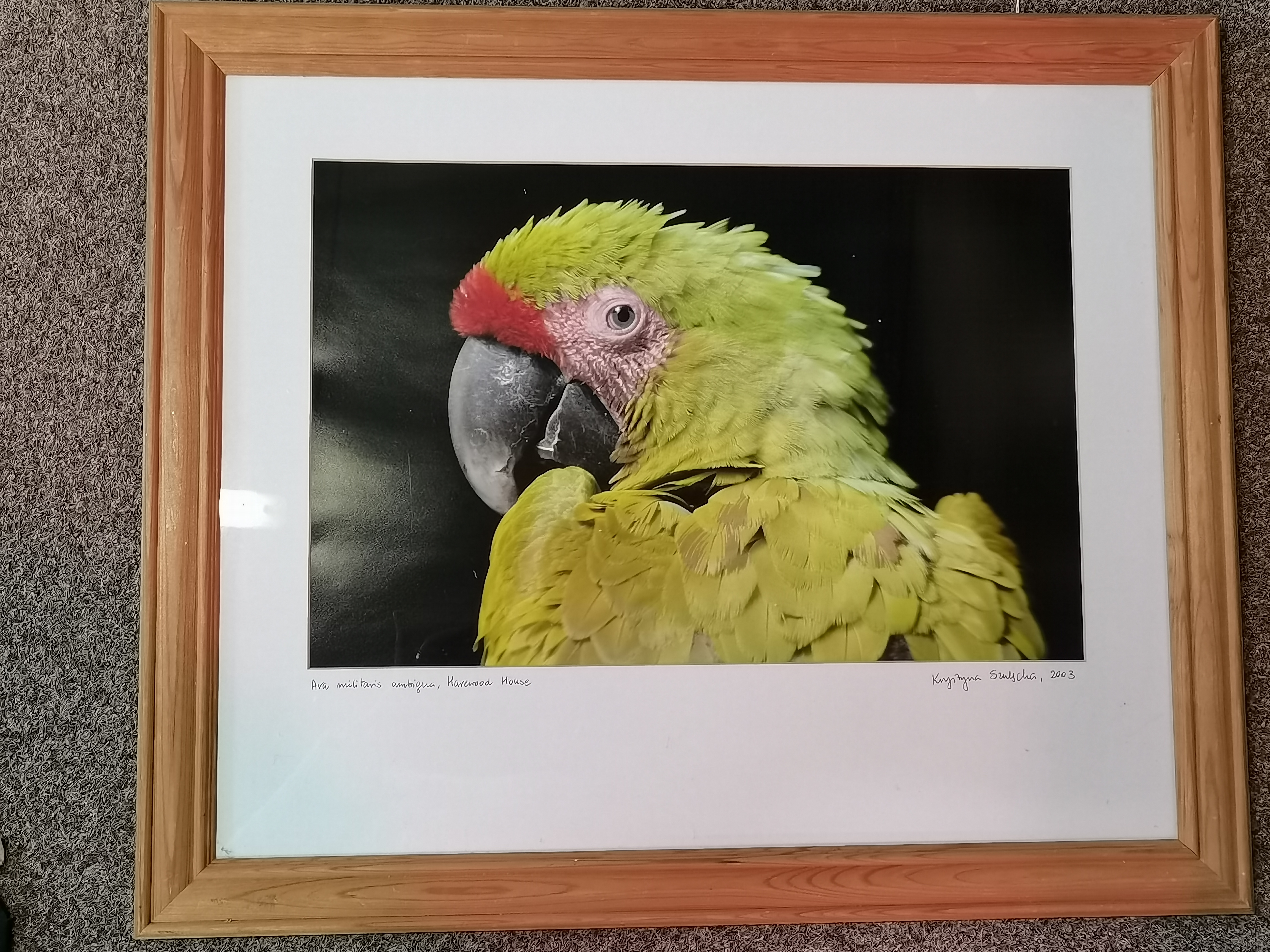 An original pastel on paper, together with a framed photograph - Image 2 of 5