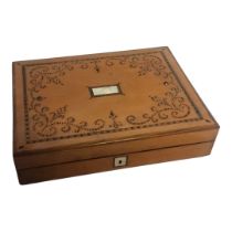 A RARE AND UNUSUAL 19TH CENTURY SATINWOOD PLAYING RECTANGULAR CARD/GAMES BOX With inlaid iron pyrite