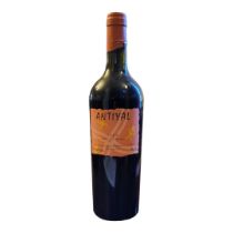 1999 ANTIYAL VALLE DEL MAIPO Chile, 75cl, 13.5% ABV. Condition: good N.B. stored in a private UK