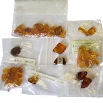 A COLLECTION OF ANTIQUE BALTIC AMBER Including items approx 40 million years old and pieces