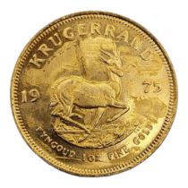 A 22CT GOLD FULL 1OZ KRUGERRAND COIN, DATED 1975 With portrait bust and springbok design to reverse,