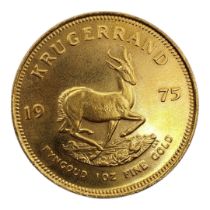A 22CT GOLD FULL 1OZ KRUGERRAND COIN, DATED 1975 With portrait bust and springbok design to reverse,