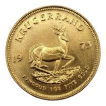 SOUTH AFRICAN 1975 ONE OUNCE GOLD KRUGERRAND Bust of Paul Kruger facing left, springbok walking