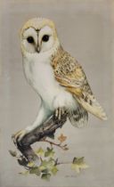 EDWIN T. CHICKEN, BRITISH, B. 1940, WATERCOLOUR ON BOARD Owl, along with another by John Selby,