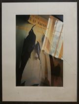 HUGER FOOTE, LIMITED EDITION (3/10) PIGMENT TRANSFER PRINT Signed, framed, Birds of Paradise