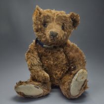 STEIFF, A RARE EARLY 20TH CENTURY 'CINNAMON' TEDDY BEAR Having central seam construction, black