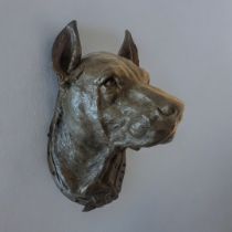 AN EARLY 20TH CENTURY CAST METAL AND BRONZED CONTINENTAL LIFE SIZE BUST OF DOGS HEAD Wearing a