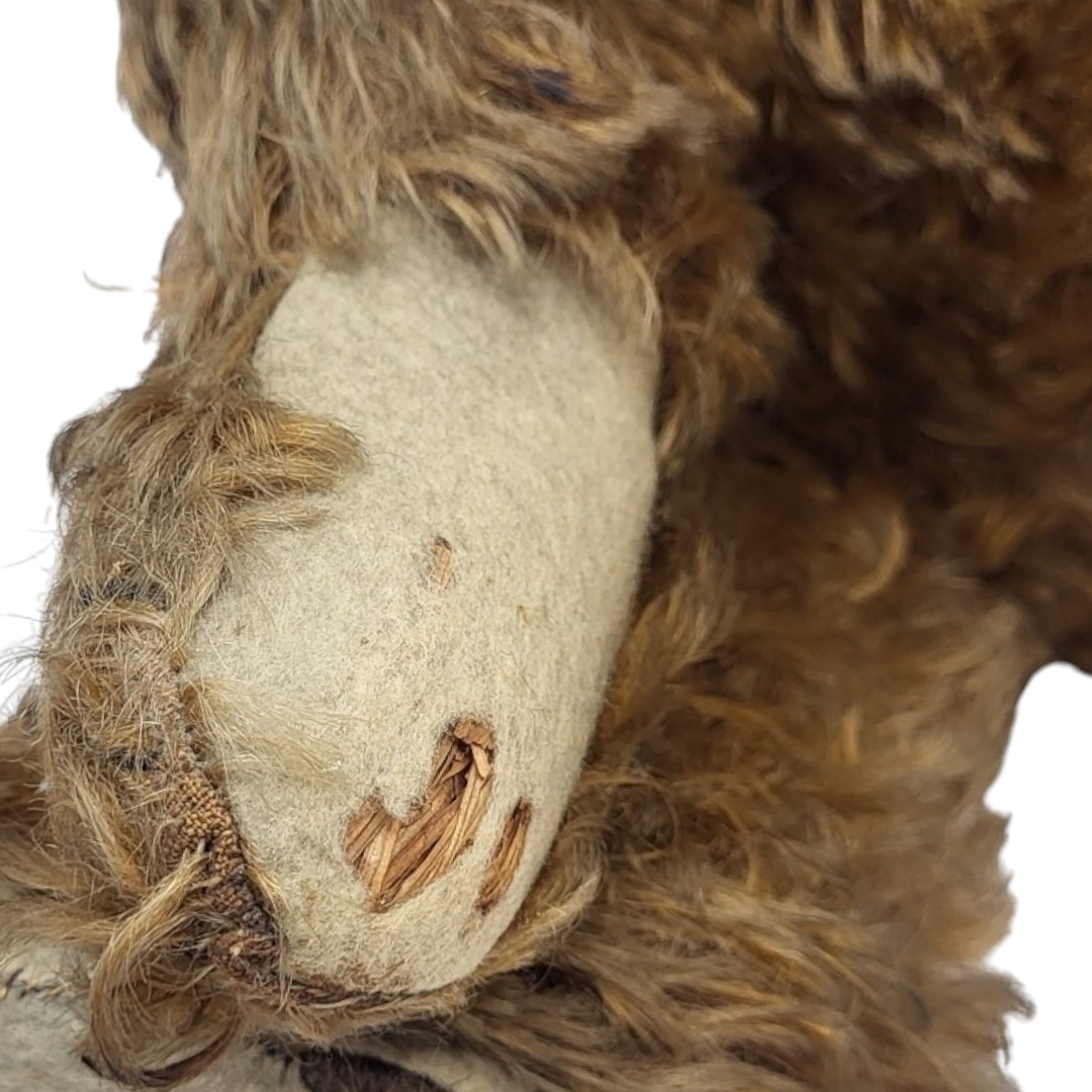 STEIFF, A RARE EARLY 20TH CENTURY 'CINNAMON' TEDDY BEAR Having central seam construction, black - Image 5 of 11