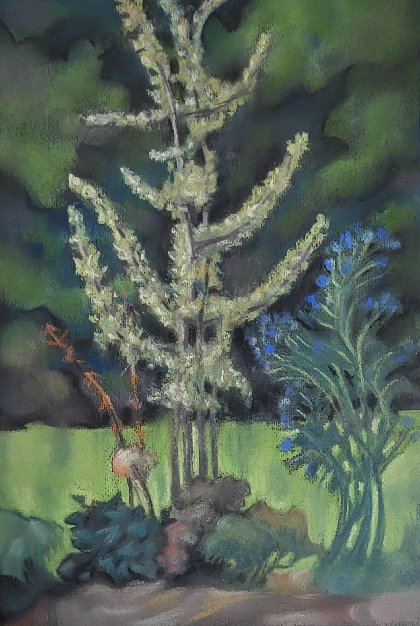 TOM MACDONALD, SCOTTISH, 1914 - 1985, PASTEL ON PAPER Young Tree, signed, dated ’78 verso, framed.