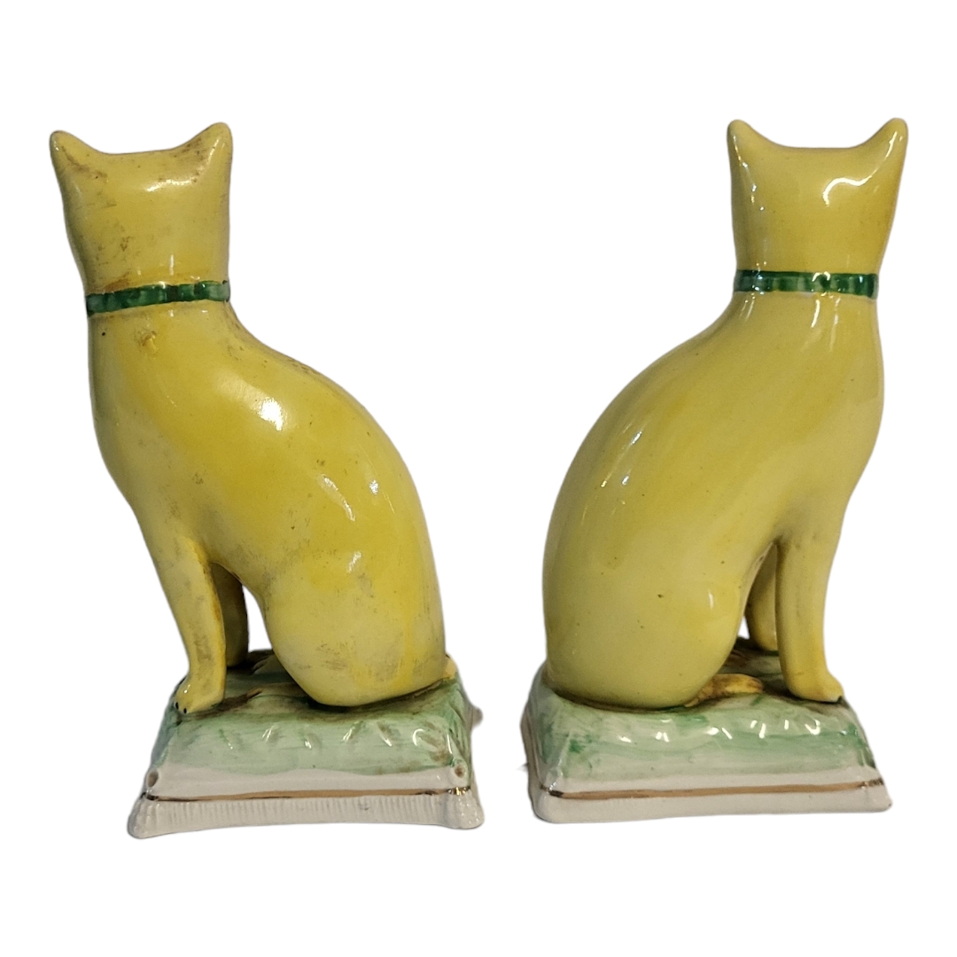 A PAIR OF STAFFORDSHIRE SEMI PORCELAIN MODELS OF CATS, CIRCA 1900 Both in seated position, wearing a - Image 2 of 3