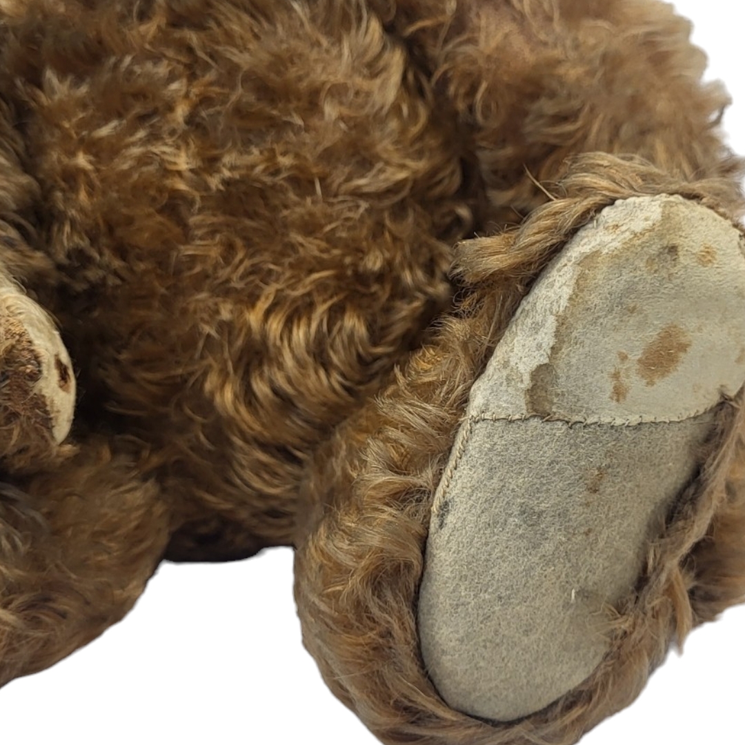 STEIFF, A RARE EARLY 20TH CENTURY 'CINNAMON' TEDDY BEAR Having central seam construction, black - Image 3 of 11