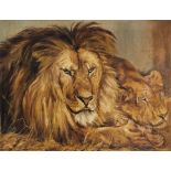 E. SURUEES, A MID 20TH CENTURY CONTINENTAL SCHOOL OIL ON CANVAS Study of African safari lion and
