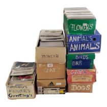 A LARGE COLLECTION OF POSTCARDS OF FLOWERS, ANIMALS AND TWO BOXES CONTAINING APPROX 600 MID 20TH