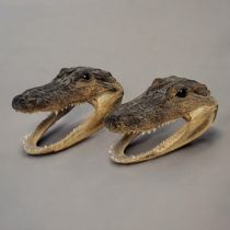 A PAIR OF TAXIDERMY CAIMAN ALLIGATOR HEADS. (approx 12cm) Condition: good