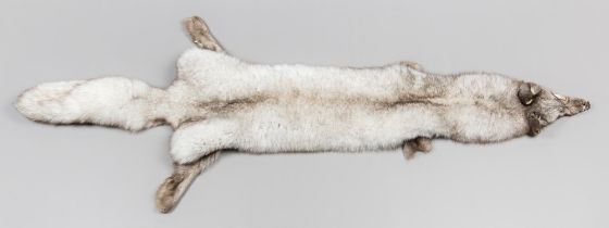 A 21ST CENTURY TAXIDERMY ARCTIC FOX SKIN (VULPES LAGOPUS). (147cm)