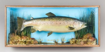 A LATE 20TH CENTURY TAXIDERMY RAINBOW TROUT IN A GLAZED CASE WITH A NATURALISTIC SETTING (