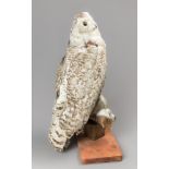 A LATE 19TH CENTURY TAXIDERMY SNOWY OWL UPON A NATURALISTIC BASE (BUBO SCANDIACUS). (h 57cm) AF. One