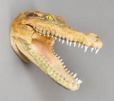 A LARGE LATE 20TH CENTURY CROCODILE HEAD. Wall mount, composite. (67cm x 32cm x 72cm)