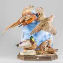 AN IMPRESSIVE LATE 20TH CENTURY TAXIDERMY DIORAMA OF BRITISH GAME BIRDS. (h 99cm x w 94cm x d 58cm)