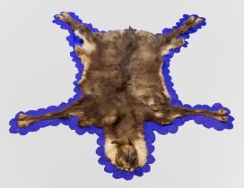 AN UNUSUAL LATE 20TH CENTURY TAXIDERMY CHAMOIS SKIN RUG WITH MOUNTED HEAD (RUPICAPRA RUPICAPRA). (