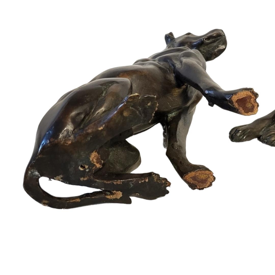 AN EARLY 20TH CENTURY CONTINENTAL PATINATED BRONZE MODEL OF A DOBERMAN PINCHER DOG In recumbent - Image 3 of 3