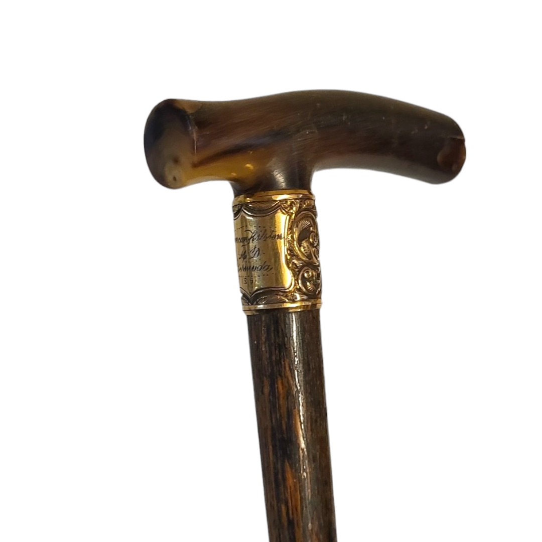 SIR DUNCAN HILSTON M.D BERMUDA, A VICTORIAN HORN HANDLED WALKING CANE Having an engraved yellow - Image 4 of 7