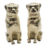 A PAIR OF SILVER PLATED DOG SALT AND PEPPER SHAKERS IN THE FORM OF PUGS. (2.5cm x 6.5cm)