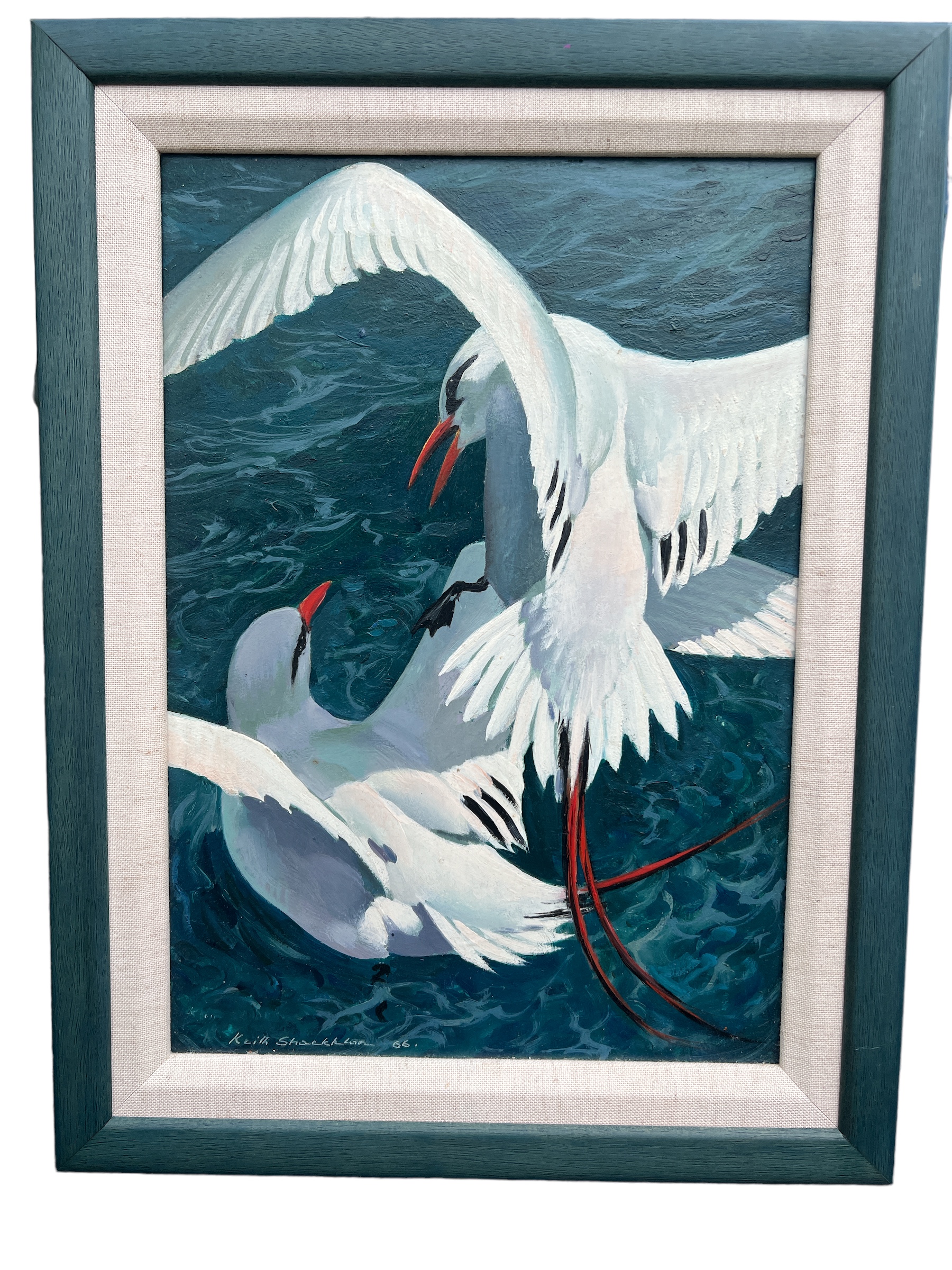 KEITH SHACKLETON, 1923 - 2015, OIL ON BOARD Two red tailed tropicbird inflight, signed, dated 66 - Image 2 of 4