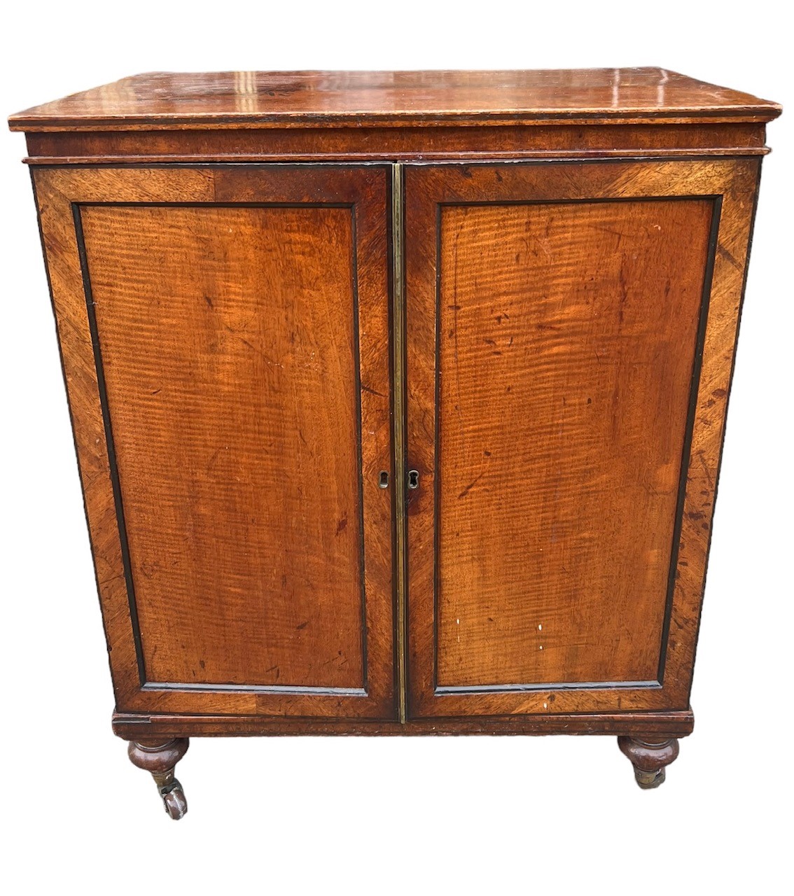 A 19TH CENTURY MAHOGANY COLLECTOR’S CABINET The pair of panel doors opening to reveal fifteen