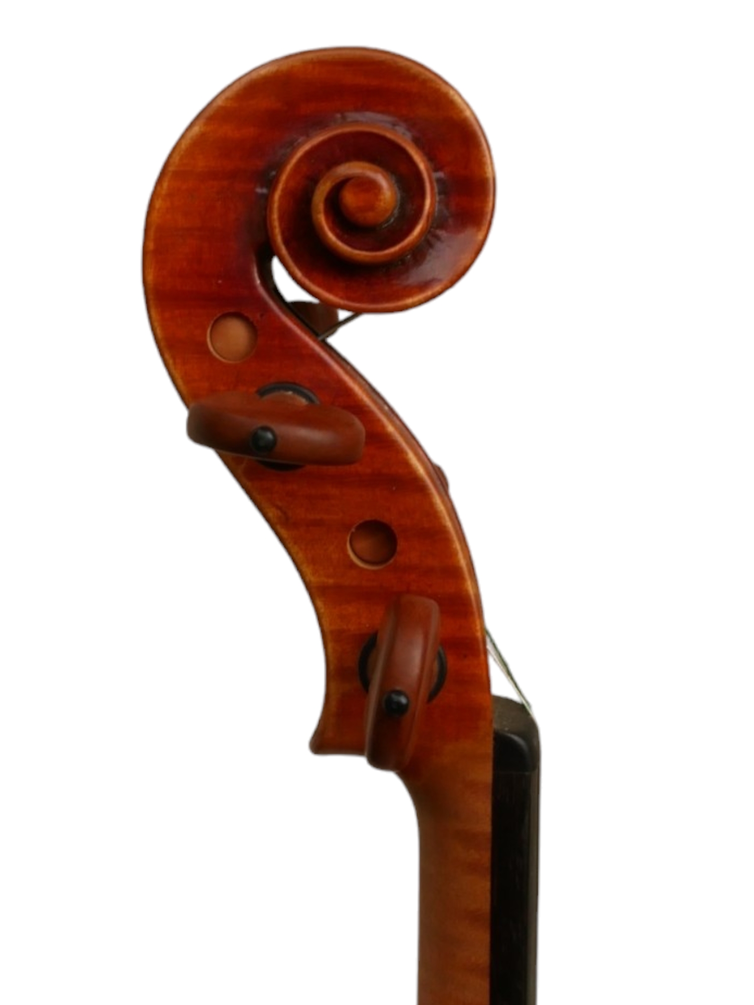 TOMAS PILAR HRADEK KRALOVE VIOLIN, 1989 Internal branding label, original bridge, colour red. ( - Image 7 of 14