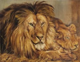 E. SURUEES, A MID 20TH CENTURY CONTINENTAL SCHOOL OIL ON CANVAS Study of African safari lion and